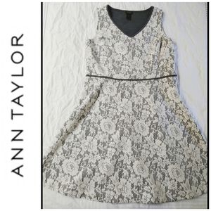 ANN TAYLOR Dress with Lace Size 12